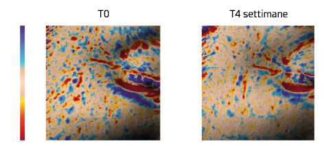 Immagine_2025-12-04_125539_3